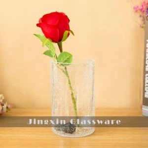 পরিষ্কার কর্কশ কাচের দানি