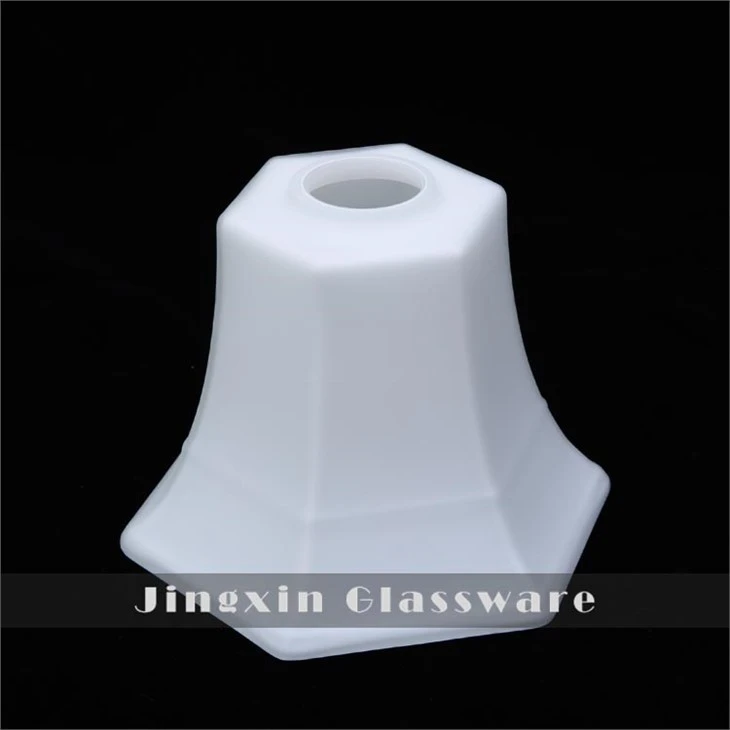 JX1129 (2)